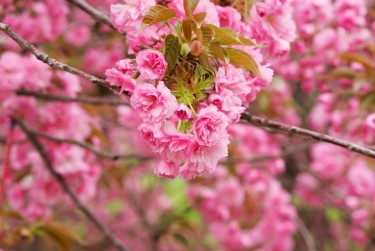 宁波象山线下个人借款平台一站式服务，轻松解决资金难题