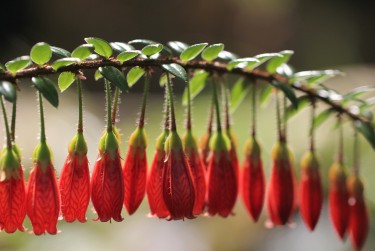 宁波象山零用贷短借：轻松解决临时资金需求
