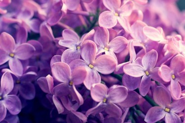 宁波象山企业急用钱贷款攻略：快速融资解燃眉之急